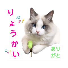 yun_20210419172230