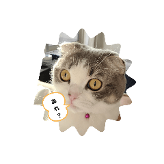 yukari_20210419182825