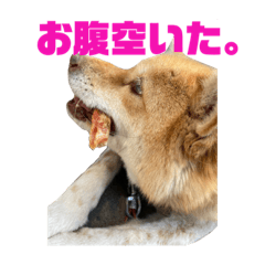 canpanys_20210419221946