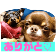 risa_20210419223011