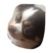 da-ru
