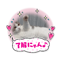 yukari_20210420094205