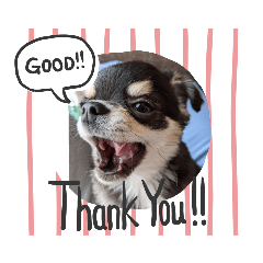 tetsu_20210419210020