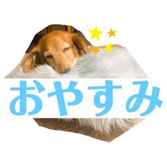 mizuki_20210419215911