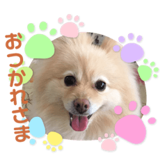 yuka_20210419221532