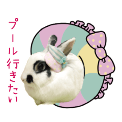 Rabbit's daily Sticker3