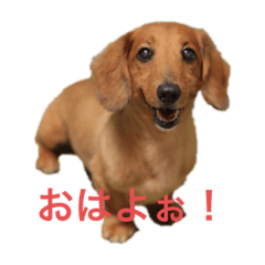 cocoa_20210419232306