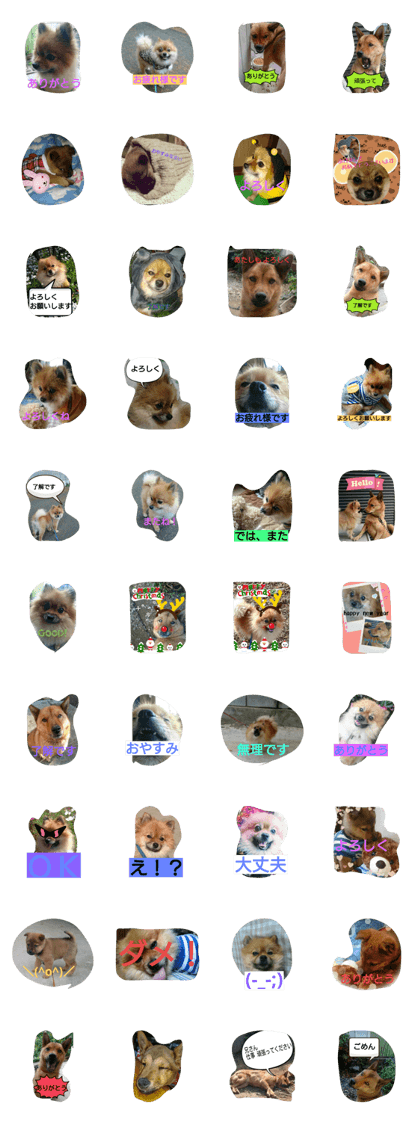 lovely!shoko&eve lovely!shoko&eve