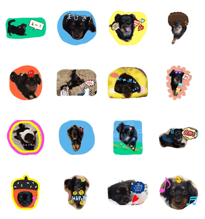 tonsuke.dog tonsuke.dog