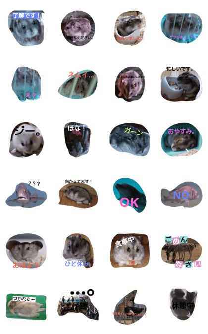 animalmalmal animalmalmal