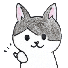 Twin cats' pleasant daily lives