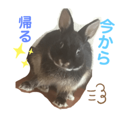 KINGスタンプ2