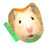 Talking hamster. Talking hamster.