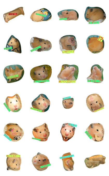 Talking hamster. Talking hamster.