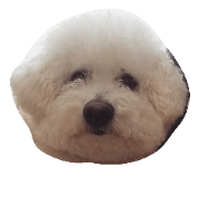 hoppe&ribon hoppe&ribon