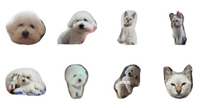 hoppe&ribon hoppe&ribon