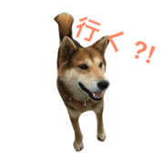 handsome RIKI RIKI handsome RIKI RIKI