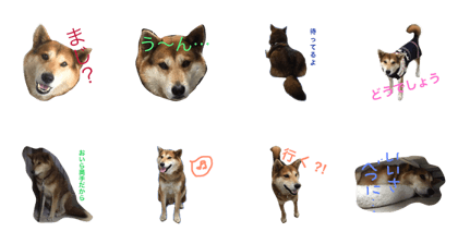 handsome RIKI RIKI handsome RIKI RIKI