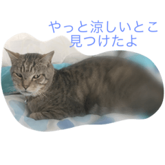 DAIKICHI stamp