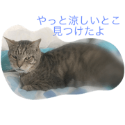 DAIKICHI stamp DAIKICHI stamp