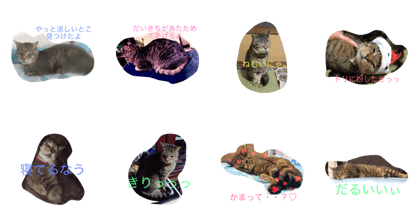 DAIKICHI stamp DAIKICHI stamp