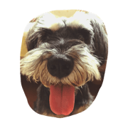 My precious family My precious family