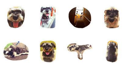 My precious family My precious family