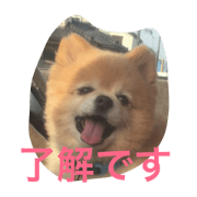 TAROUandKORO2 TAROUandKORO2