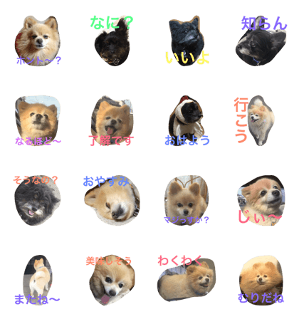 TAROUandKORO2 TAROUandKORO2