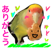 satsukichan satsukichan