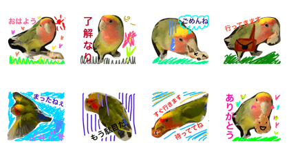 satsukichan satsukichan