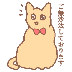 Japan anxious cat
