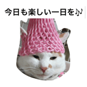 Chonny's Charming cat 2 Chonny's Charming cat 2