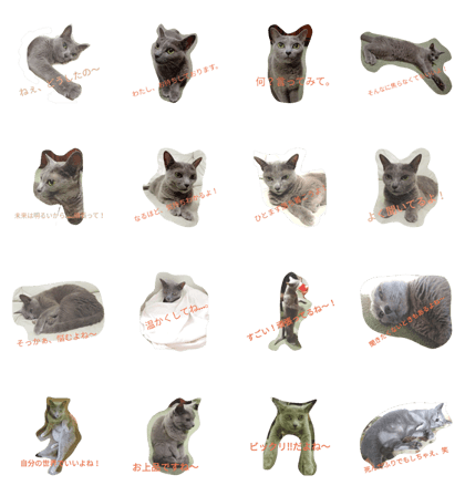 Sympathetic Cat No.2 Sympathetic Cat No.2