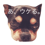 My dearest denjiro My dearest denjiro