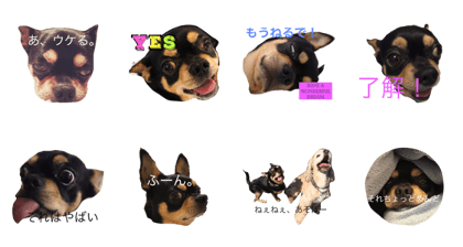 My dearest denjiro My dearest denjiro