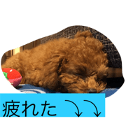 dogstampok dogstampok