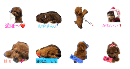 dogstampok dogstampok