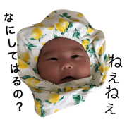 miatanstump.famonly miatanstump.famonly