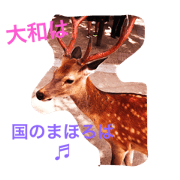 NARA, deer & summer dish NARA, deer & summer dish