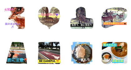 NARA, deer & summer dish NARA, deer & summer dish