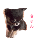 Marron's things part 2