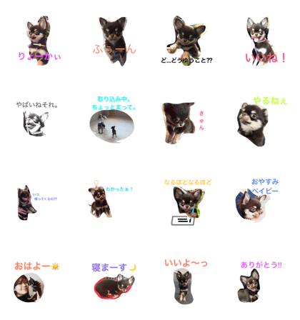 Marron's things part 2