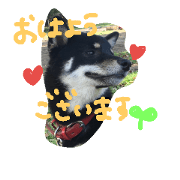 kuroshiba respect language