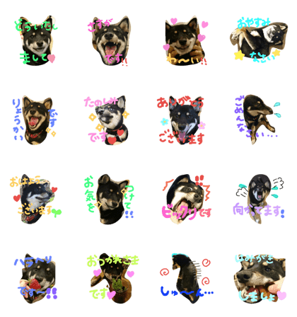 kuroshiba respect language