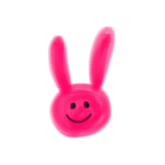 Japanese PINK Rabbit
