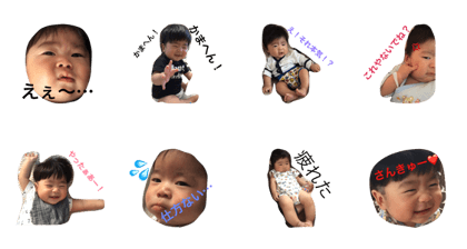 shibano koyo shibano koyo