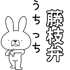 BIG Dialect rabbit[fujieda]