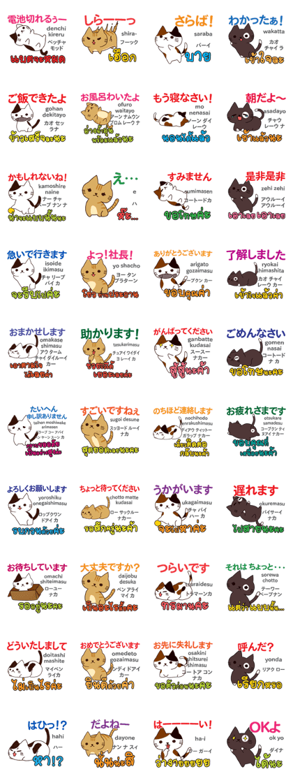 Sexy Cats Thai&Japanese