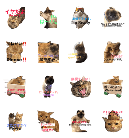 cat's sticker factory